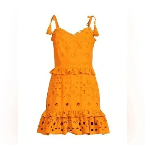 Walter Baker Misty Eyelet Ruffle Mini Dress in Mustard Yellow Size 10 B1143 - Picture 1 of 5